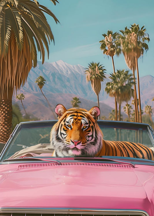 O Rei da Estrada Cabin