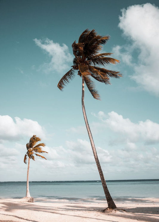 Brisa Tropical Cabin