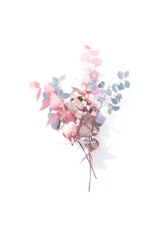 Refúgio em Tons de Rosa