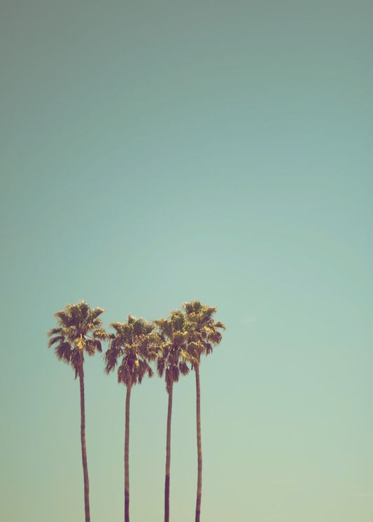 Tropical Quatro Cabin