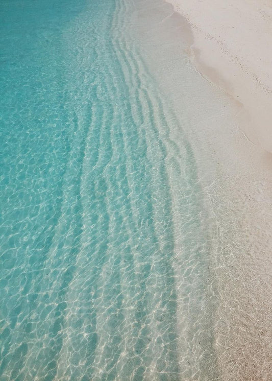 Transparência Serena Cabin