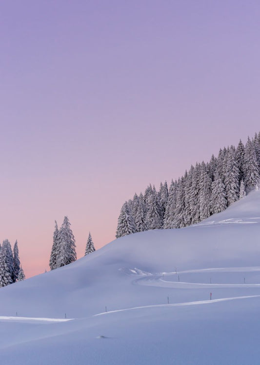 Silêncio da Neve Cabin