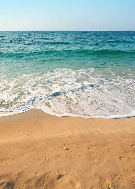 Horizonte Tropical Cabin