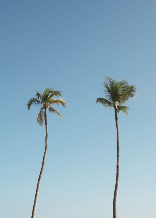 Companheiras do Vento Cabin